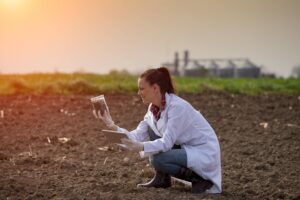 Soil investigation Costs Types and procedures