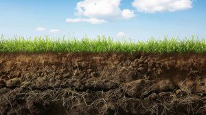 Soil classes and homogeneous areas