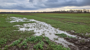 bewirtschaftungserleichterung-erdaufuellung-landwirtschaftliche-flaechen